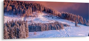 Tablou - Peisaj de iarnă (120x50 cm)