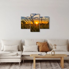 Tablou cu câmp în apus de soare (90x60 cm)