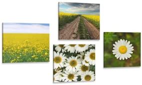 Set tablouri luncă plină de flori