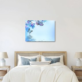 Tablou pe sticlă - Fluture pe flori de orhidee, albastru (70x50 cm)