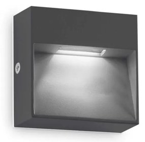 Aplica LED iluminat exterior ambiental IP65 Dedra ap big