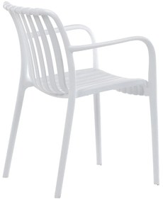 Set de scaune de sufragerie CT-X7029 WT, 4 buc