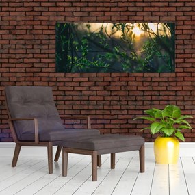 Tablou - Soarele strălucind printre crengile copacilor (120x50 cm)