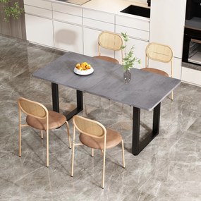 Set de 2 scaune de dining moderne din ratan cu cadru metalic, 56x52x27 cm, Maro