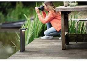 Coloană luminoasă LED de exterior BUSTAN 2xLED/4,5W IP44 Philips 16485/93/P0