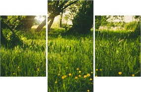Tablou cu natura - lunca (90x60 cm)