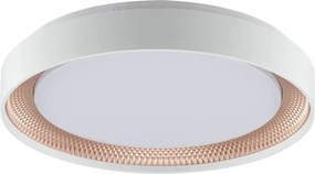Brilliant - Plafonieră LED dimabilă WALDO LED/24W/230V alb/aur roz + telecomandă