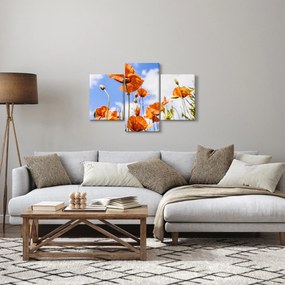 Tablou cu macii (90x60 cm)