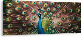 Tablou - Păun (120x50 cm)