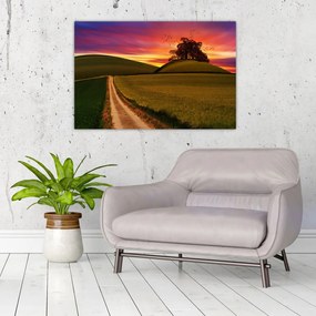 Tablou cu câmp și cerul colorat (90x60 cm)