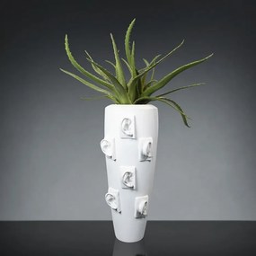 Aranjament floral mare OBICE DAVID EARS WITH ALOE