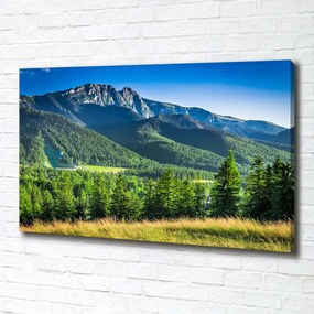 Imprimare tablou canvas Dealul din tatra
