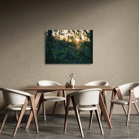 Tablou pe sticlă - Soarele strălucind printre crengile copacilor (70x50 cm)