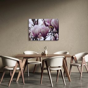Tablou pe sticlă - Magnolie (70x50 cm)