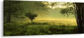 Tablou - Pădurea trezită (120x50 cm)
