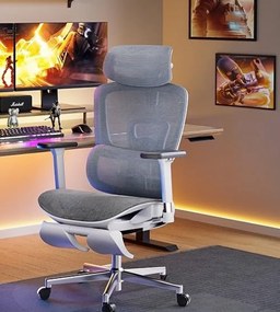 HBADA E2 Scaun ergonomic, cotiere reglabile 3D, suport lombar reglabil, spătar reglabil inaltime, pivotant, suport picioare, Gri