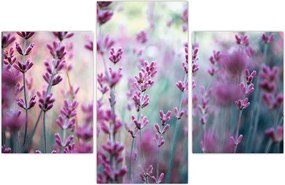 Tablou - Lavandă (90x60 cm)