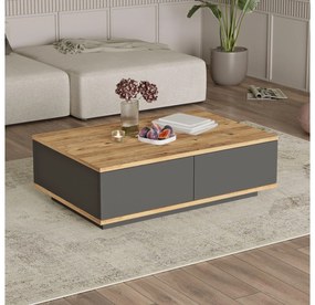 Măsuță de cafea Fera 14 (pin atlantic + antracit). 1102142