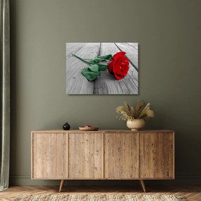 Tablou pe sticlă - Trandafir roșu cu tulpină verde (70x50 cm)