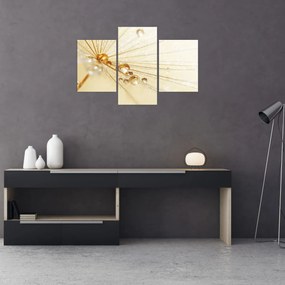 Tablou - Fotografie macro de păpădie (90x60 cm)