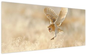 Tablou - Bufniță (120x50 cm)