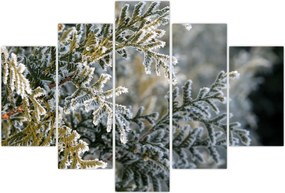 Tablou - Detaliu ramură (150x105 cm)