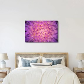 Tablou detailat cu floare (90x60 cm)