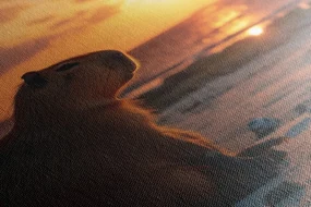 Tablou capybara la apus