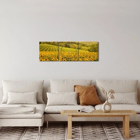 Tablou - Câmp de floarea-soarelui (cu ceas) (90x30 cm)