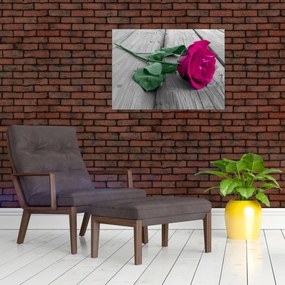 Tablou pe sticlă - Trandafir roz cu tulpina verde (70x50 cm)