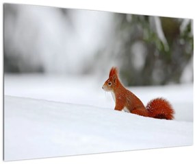 Tablou - Vevetițe (90x60 cm)