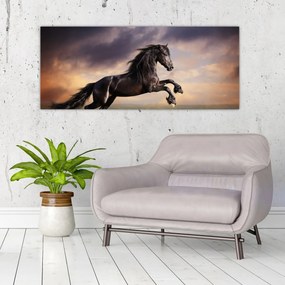 Tablou - Cai (120x50 cm)