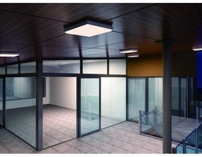 Plafonieră LED de exterior LED2 QUADO LED/10W/230V antracit IP54