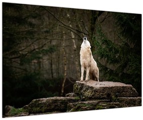 Tablou - Urletul lupului (90x60 cm)