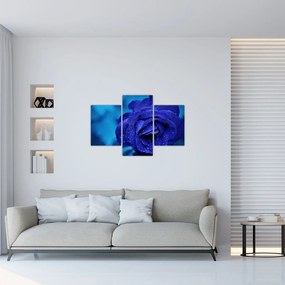Tablou cu trandafir albastru (90x60 cm)