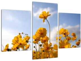 Tablou - Câmp cu flori galben deschis (90x60 cm)