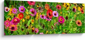 Tablou cu flori de luncă (cu ceas) (90x30 cm)