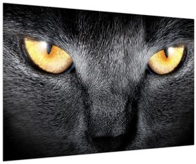 Tablou - Close up portret de o pisică (90x60 cm)