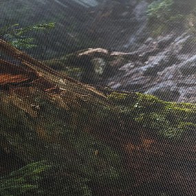 Tablou - În pădure (150x105 cm)