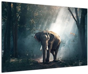 Tablou cu elefant în djunglă (90x60 cm)