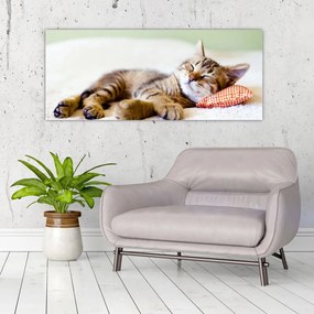 Tablou - Pisicuța adormită (120x50 cm)