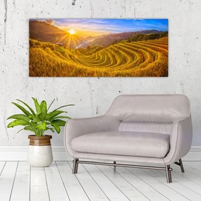 Tablou - Terasele de orez din Vietnam (120x50 cm)