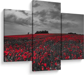 Tablou cu maci (90x60 cm)