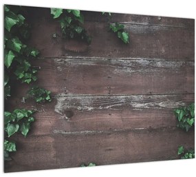 Tablou pe sticlă - Lederă (70x50 cm)