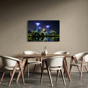 Tablou cu lună plină în grădinile din Singapur (90x60 cm)