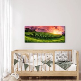 Tablou cu vie cu cerul color (120x50 cm)