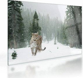 Tablou pe sticlă cu leopard în zăpadă (70x50 cm)