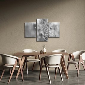 Tablou - Iarbă de pampas Boho (90x60 cm)