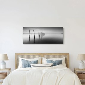 Tablou cu nivelul de lac alb negru (120x50 cm)