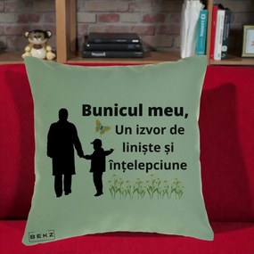 Cadou pentru Bunic - Perna Personalizata Bunicul Meu Izvor de Liniste cu Fluture si Baietel, 40x40 cm, Verde, Husa Detasabila, Perna Inclusa, BEKZ®